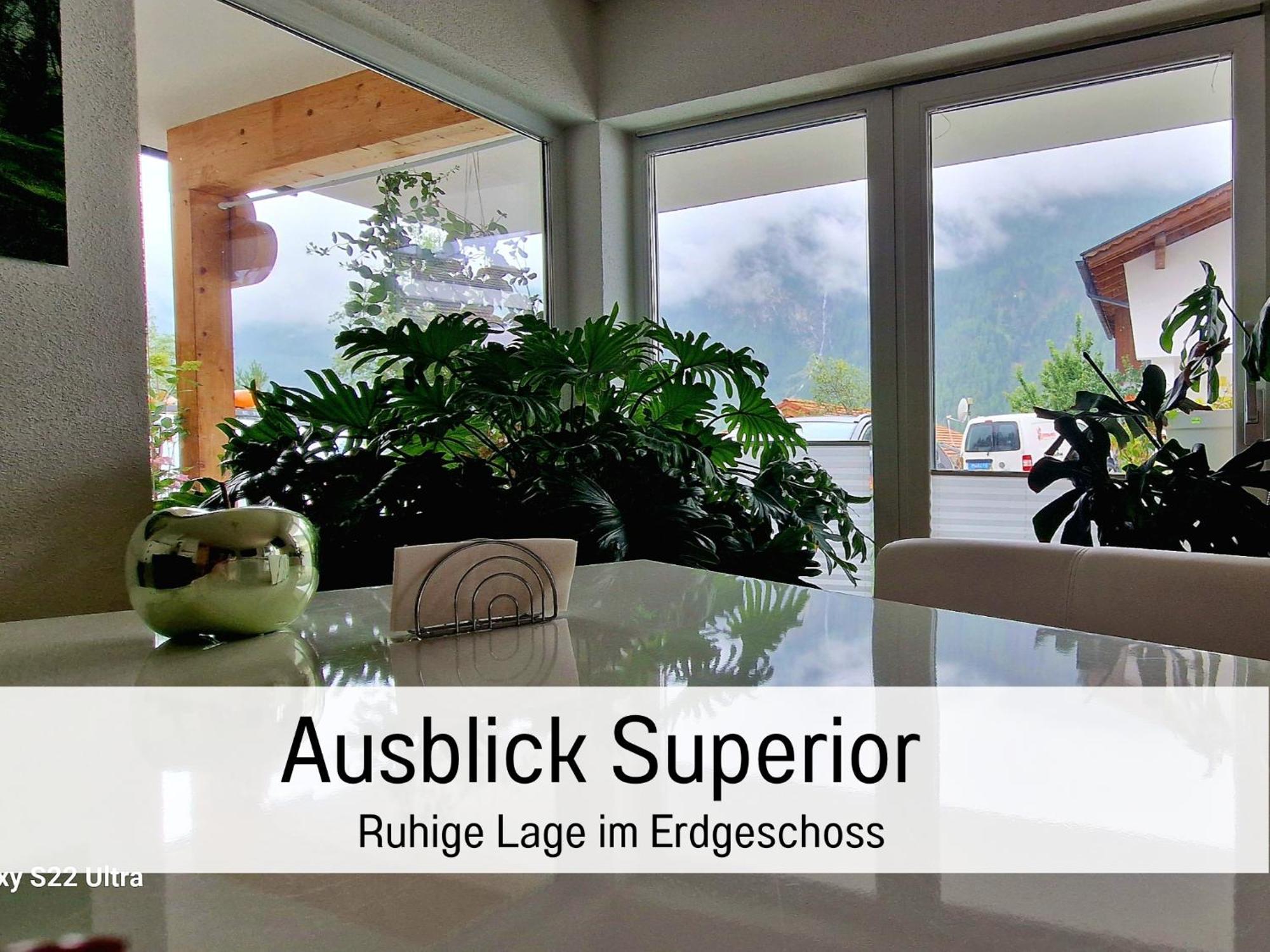 Elke'S Oetztal Apartments - Ihr Bergparadies レンゲンフェルト 部屋 写真